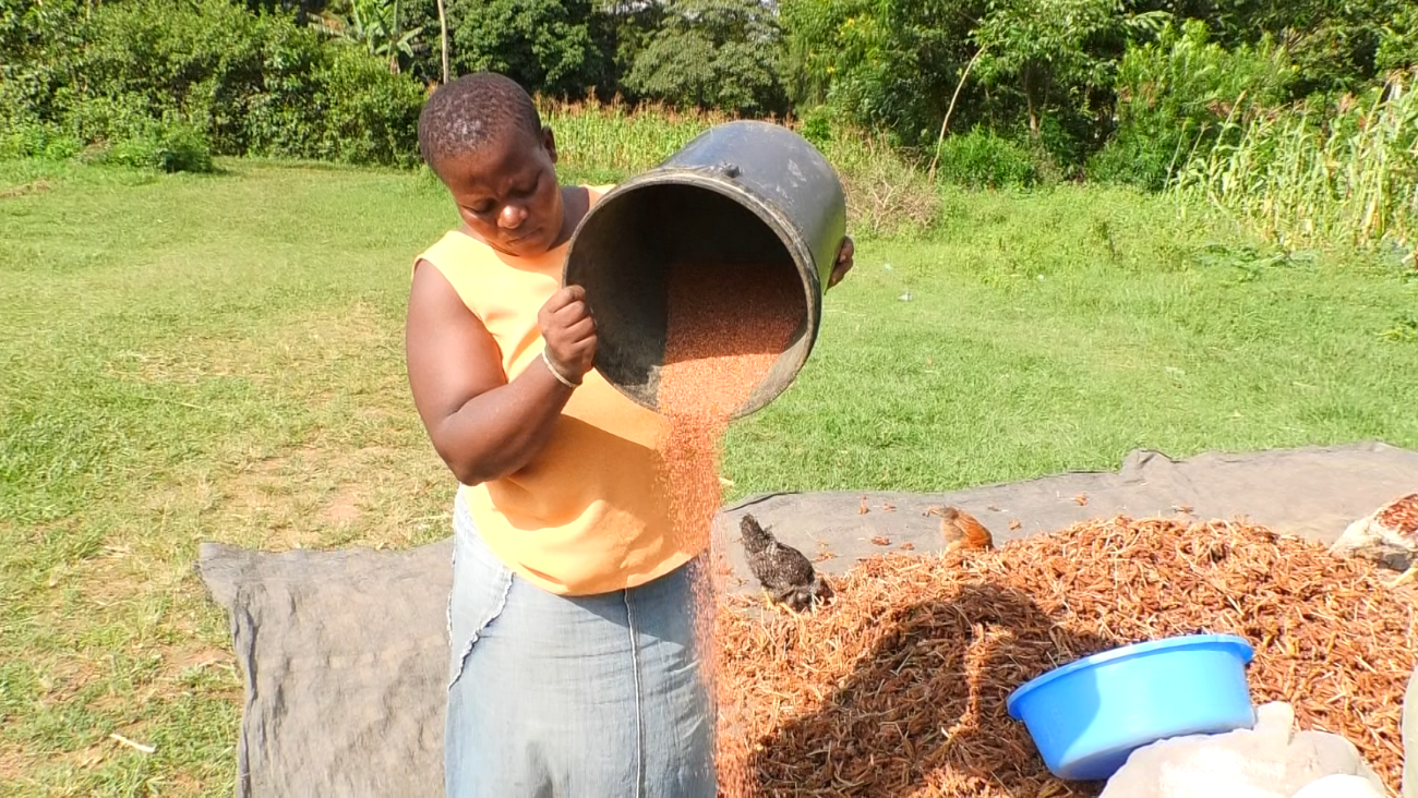 International Day of Rural Women