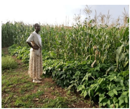 Screenshot 2026 03 03 234908