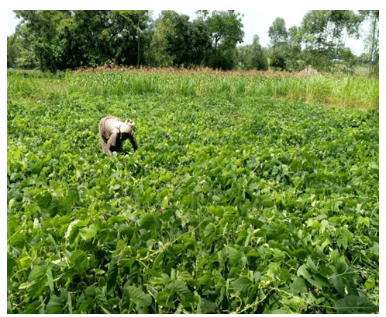 Screenshot 2026 03 03 234924